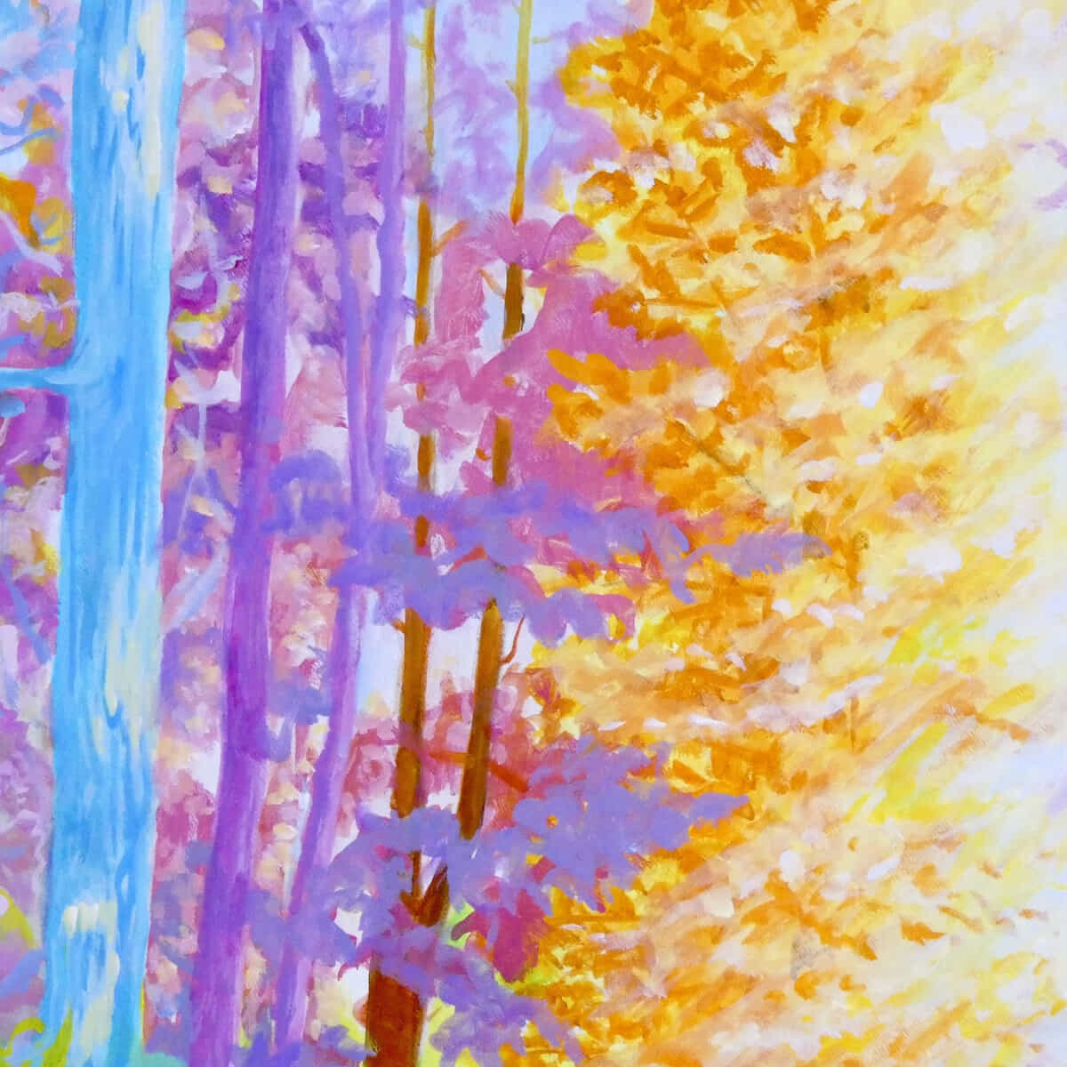 色彩の森 静かな川-9