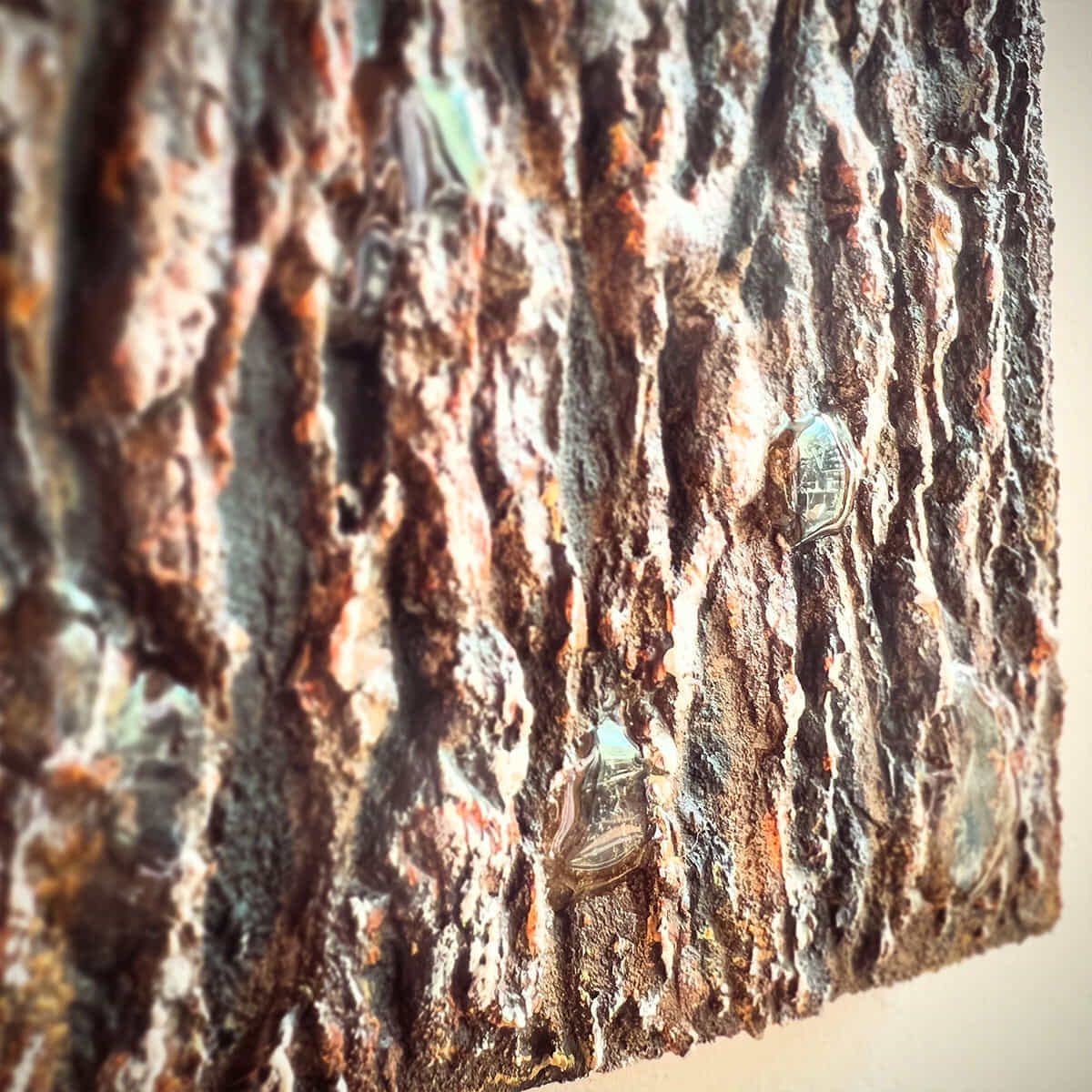 森の囁き、雨のあと-6