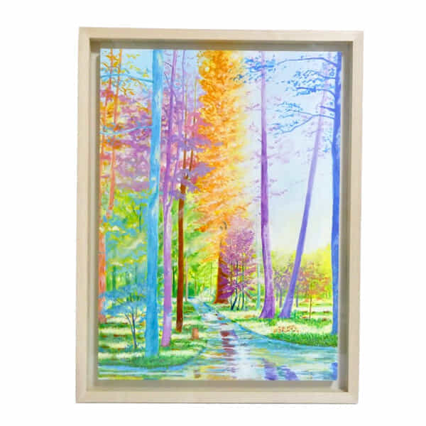 色彩の森　静かな川