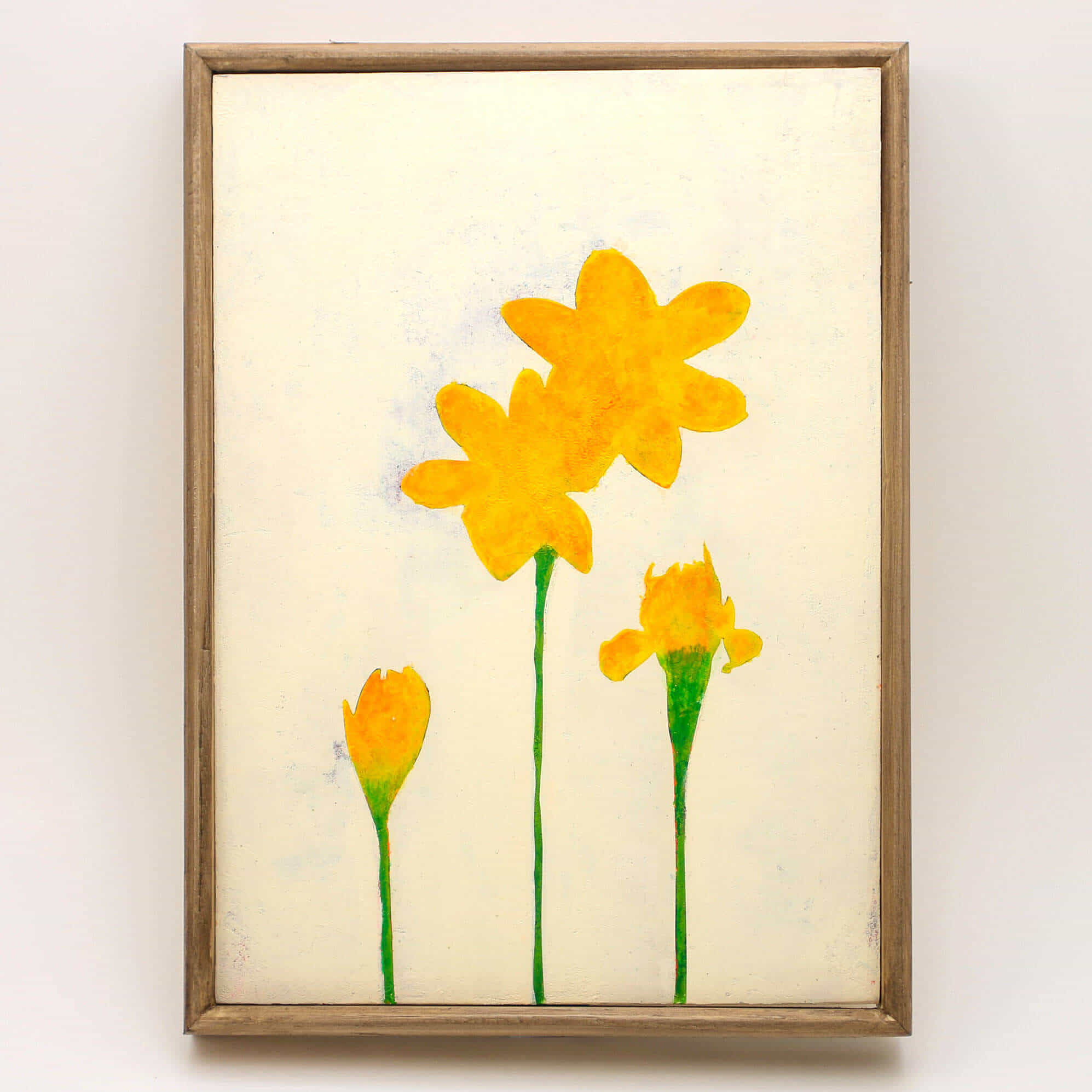 Yellow narcissus flowers No.191