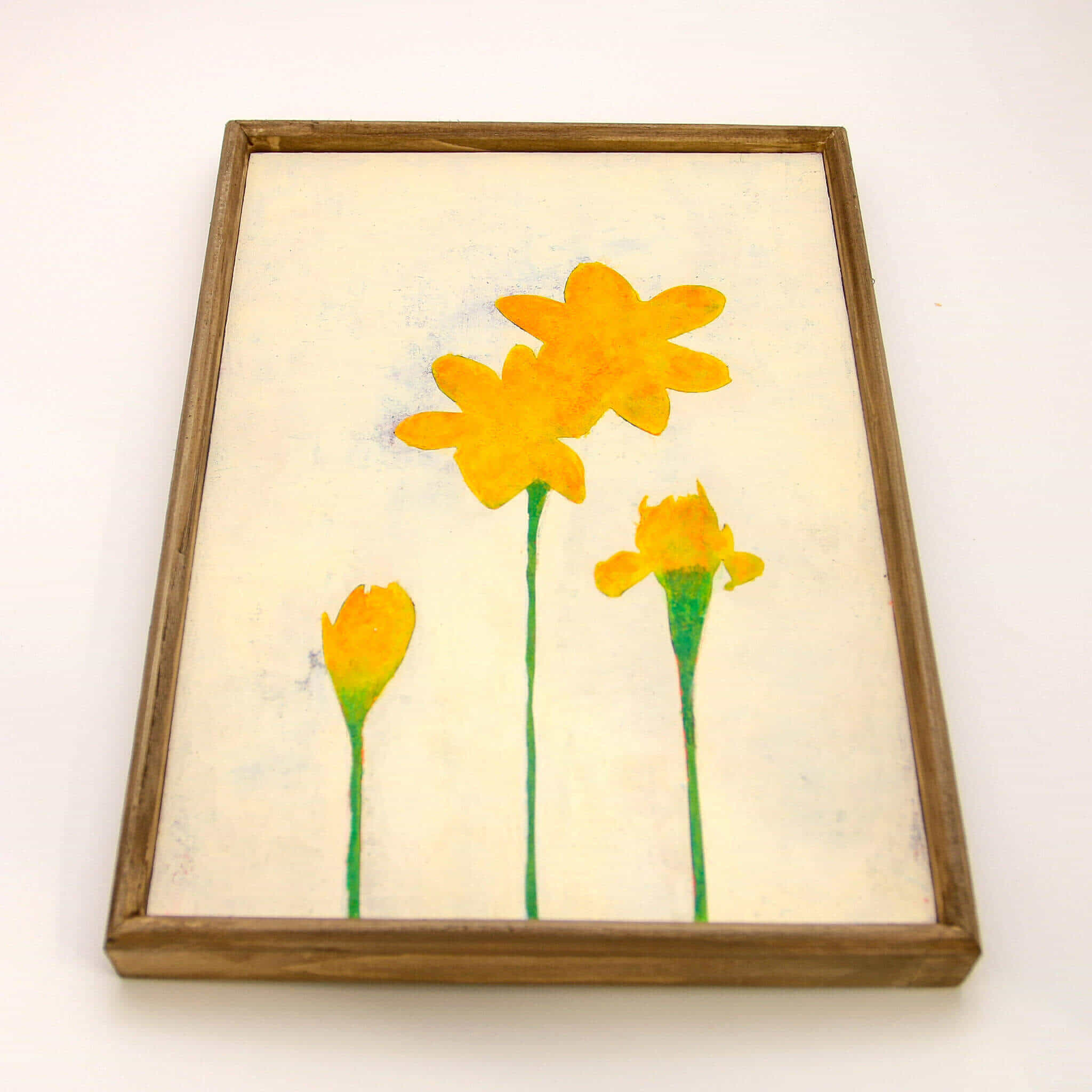 Yellow narcissus flowers No.191-4