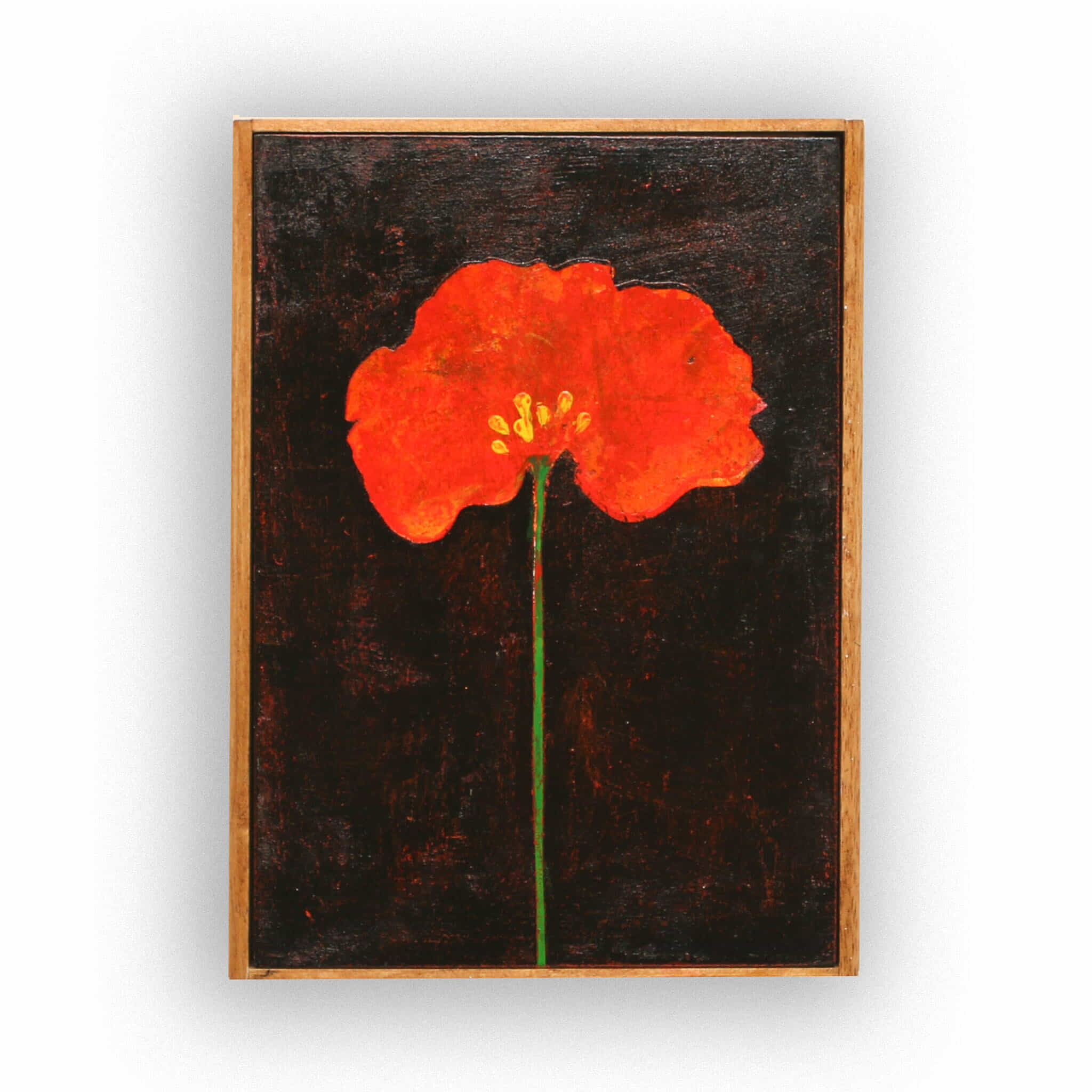 Orange Poppy Solo#3No.211