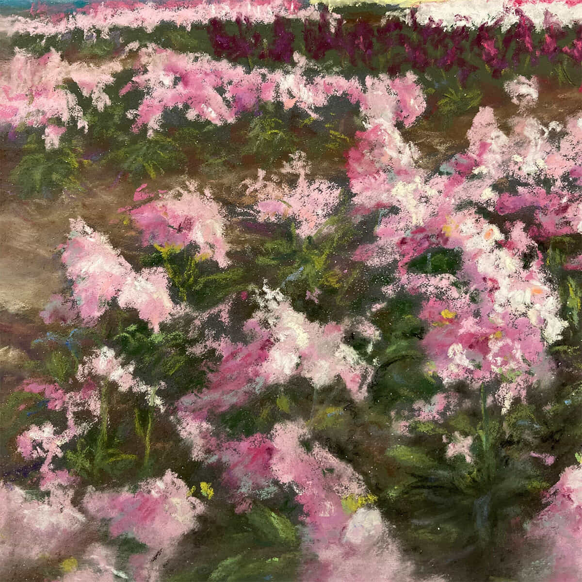 恵みの光-10