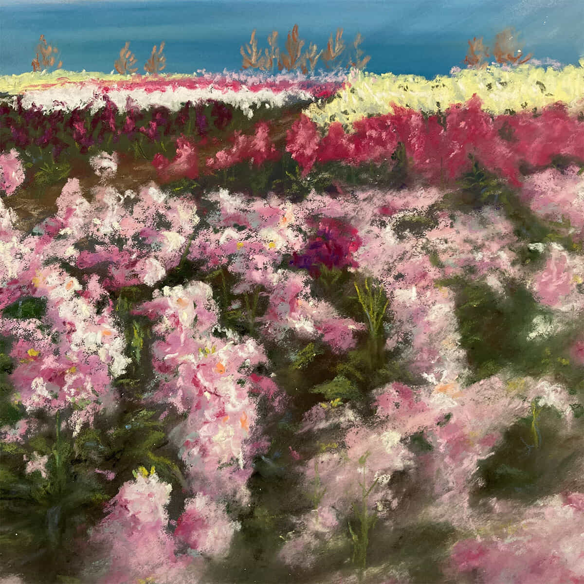 恵みの光-9