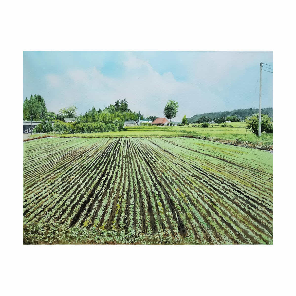 心落ち着く景色