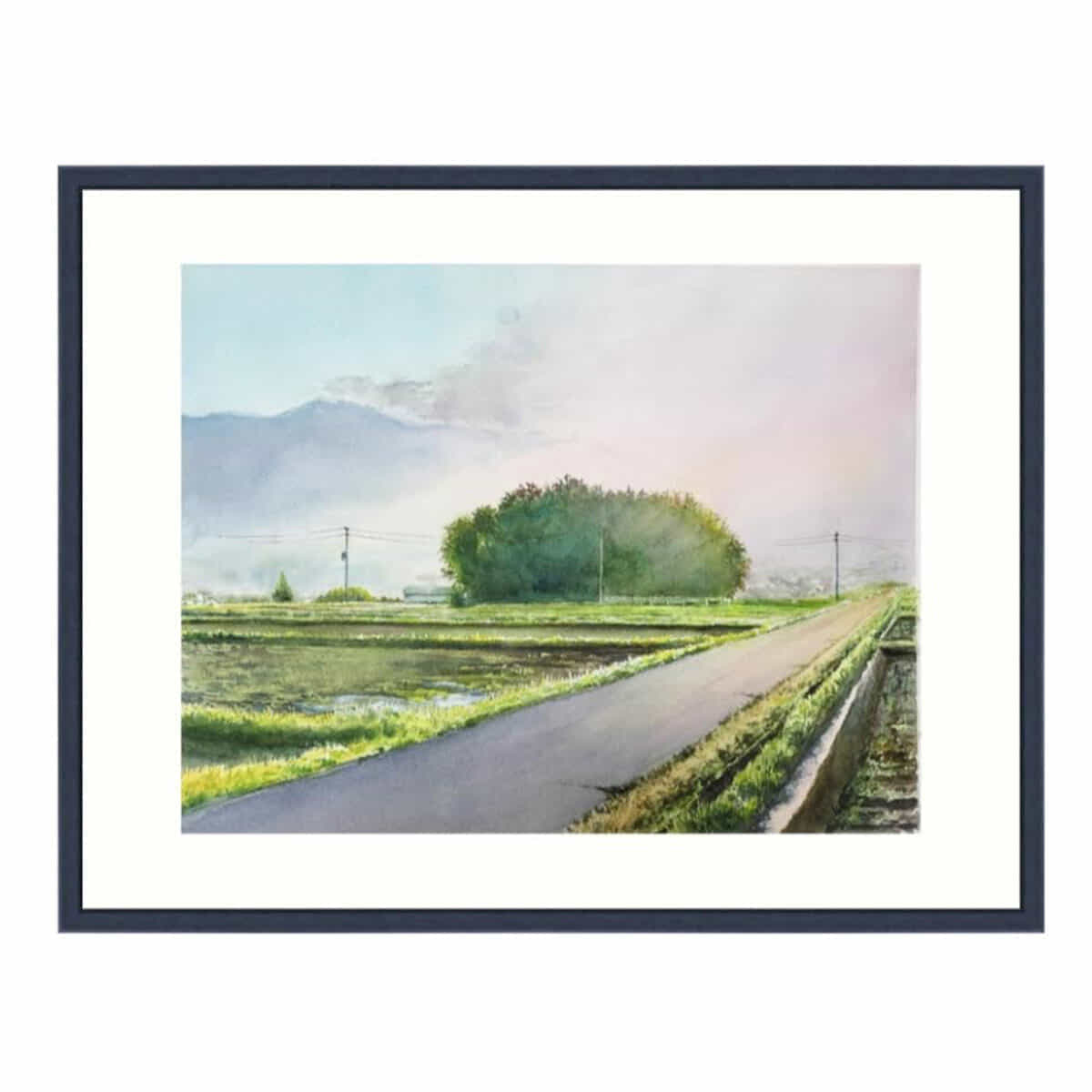 朝日に輝く農道-2