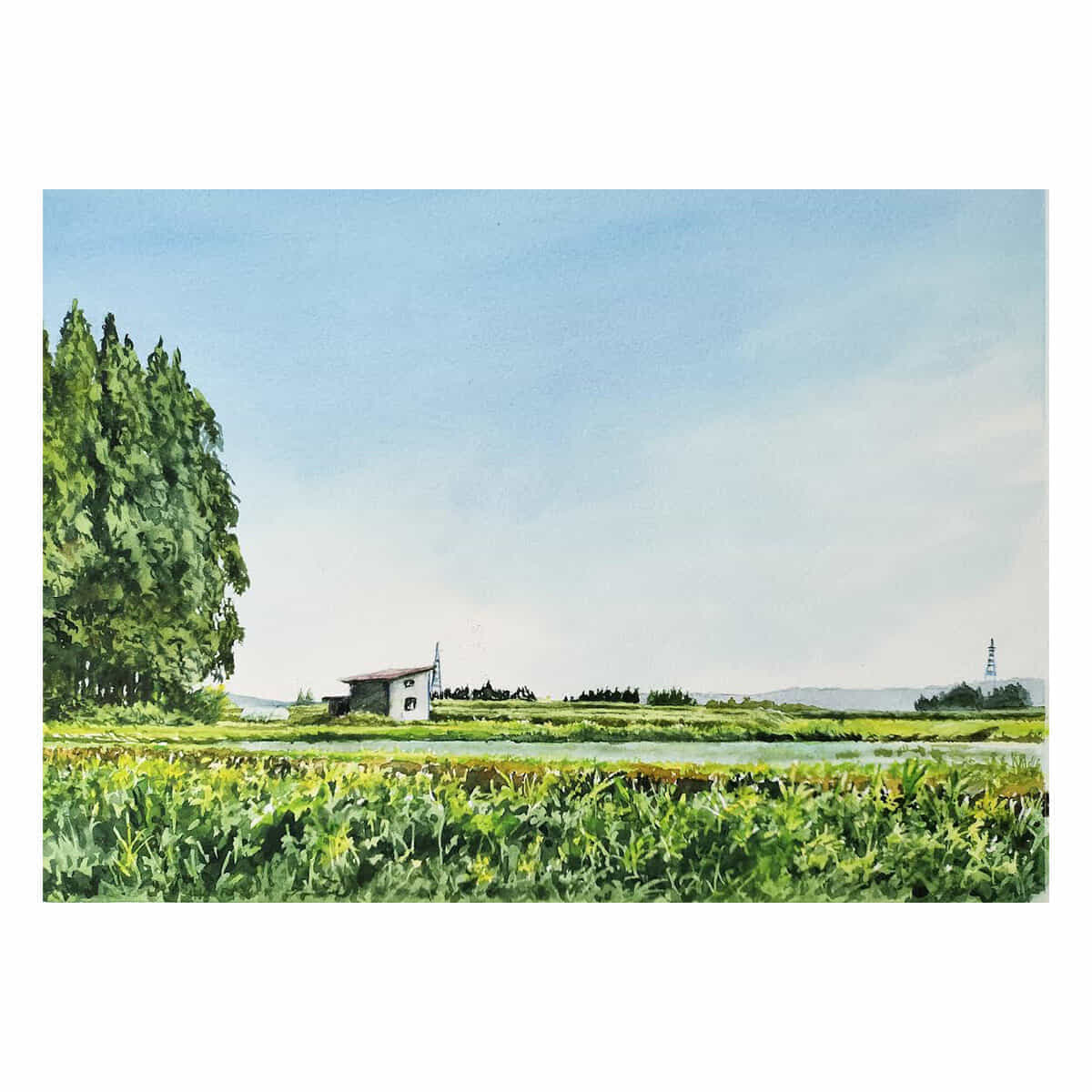 五月晴れを仰ぐ