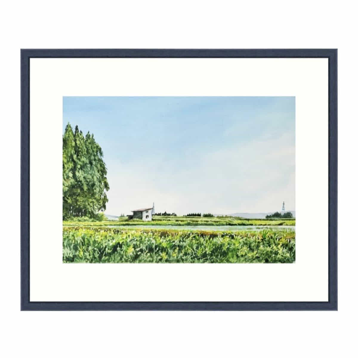 五月晴れを仰ぐ-2