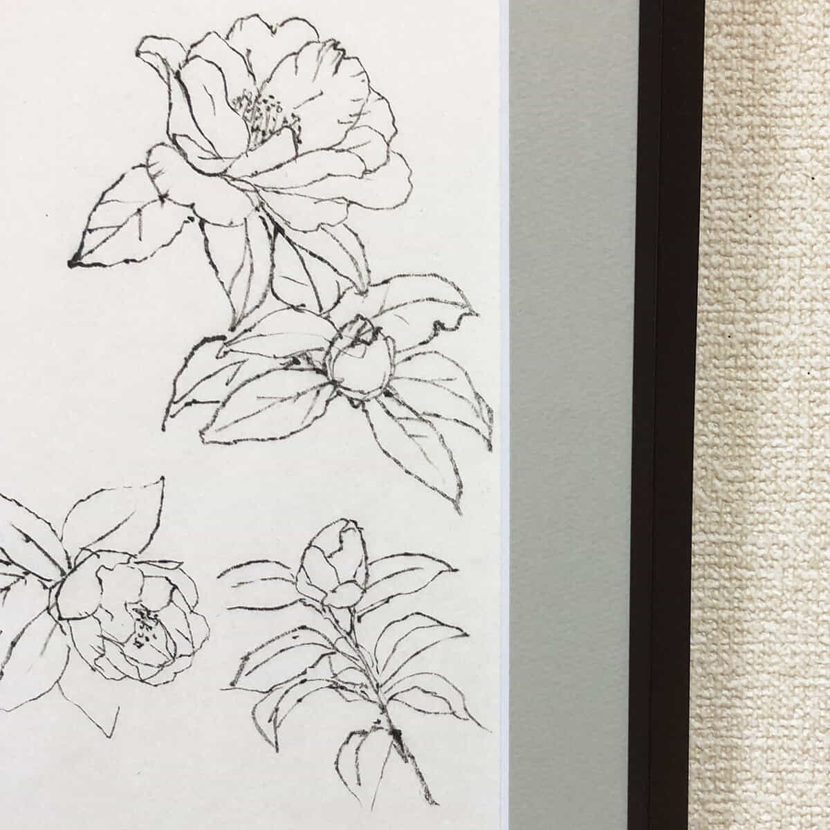 スケッチ｜サザンカ-2