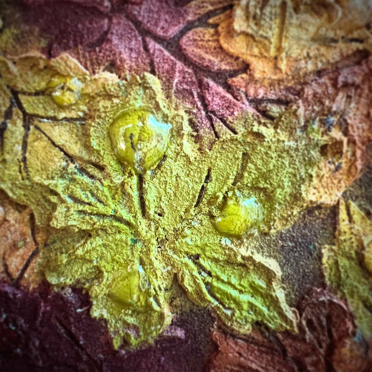 色づく森、雨上がり-6