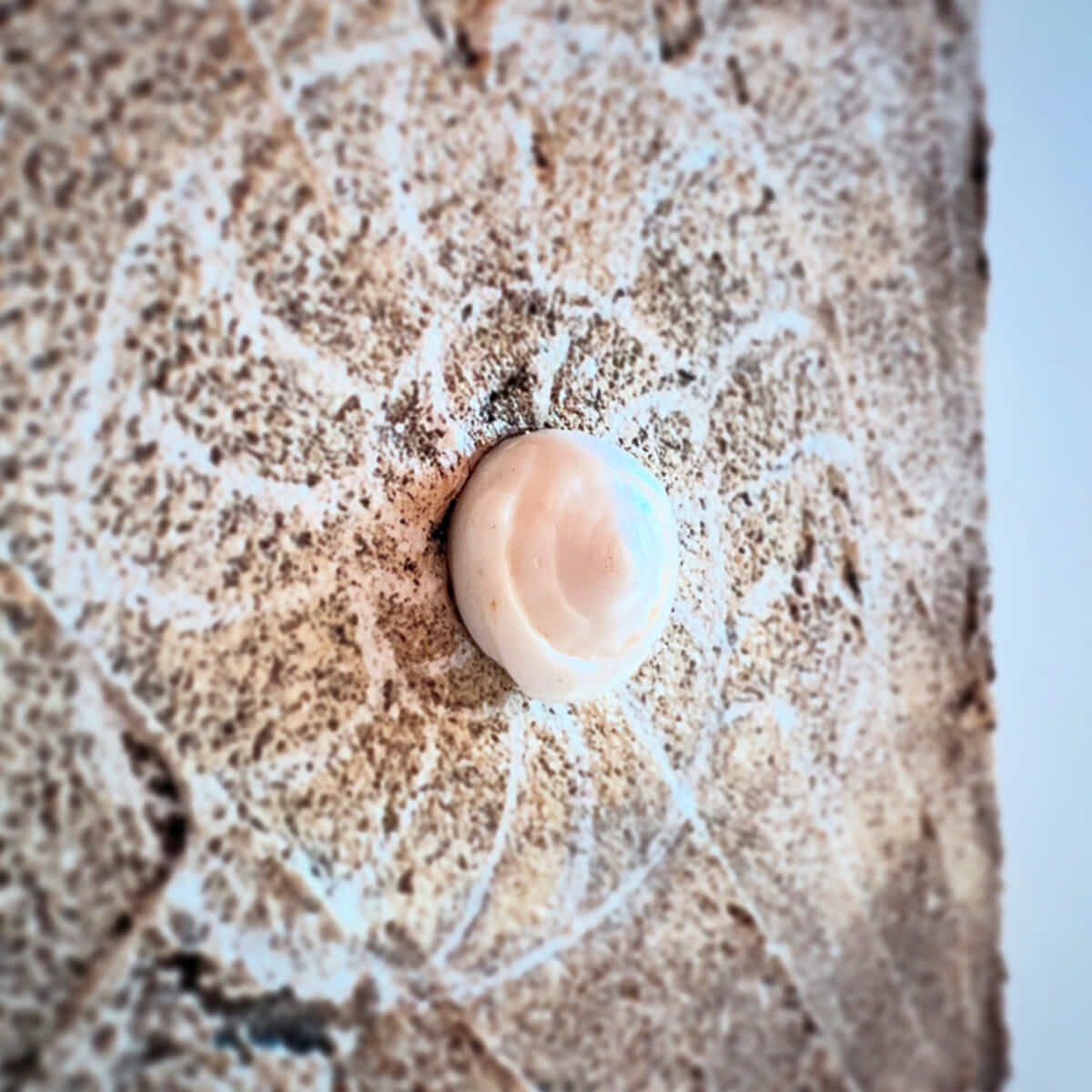 時間に包まれて-6