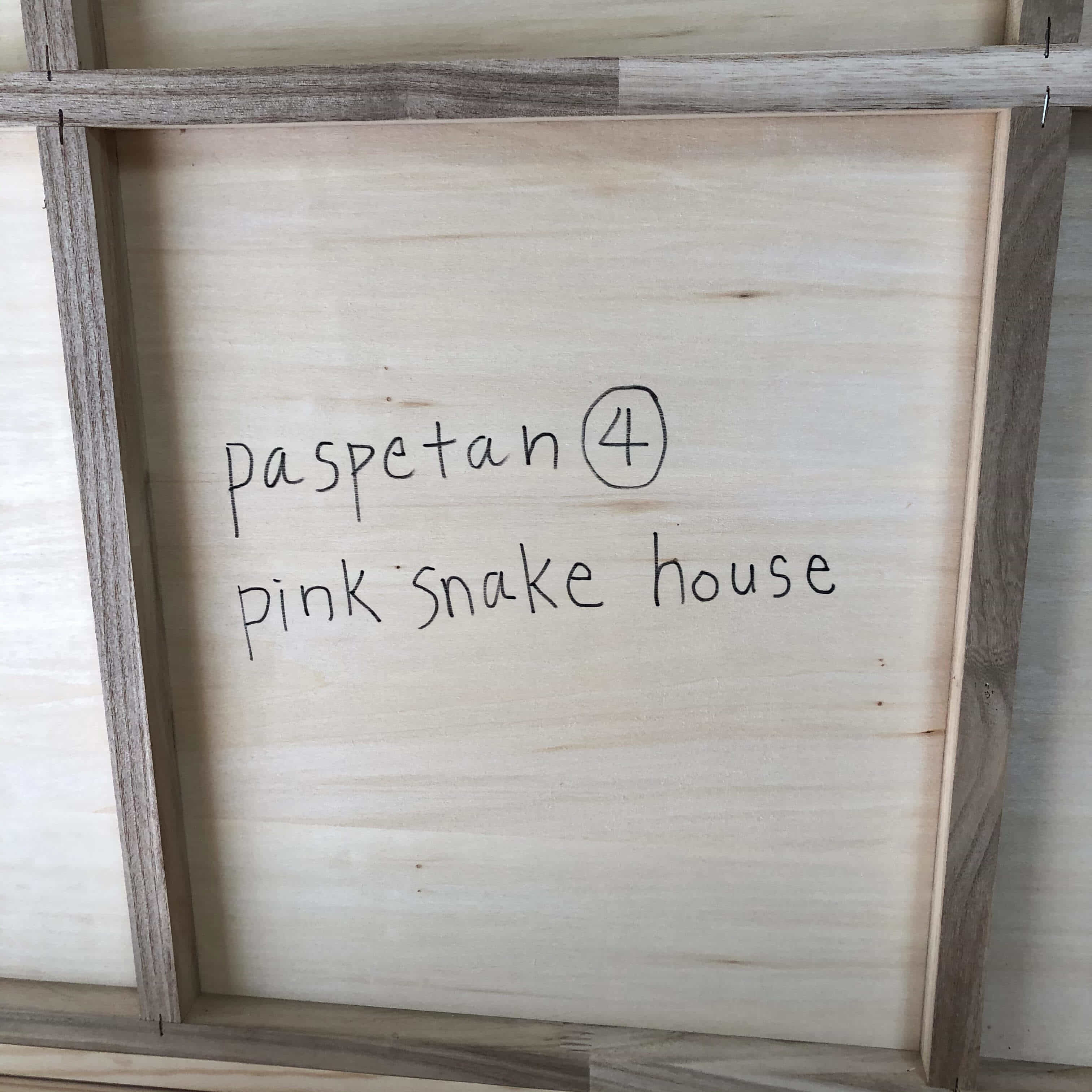 pink snake house-9