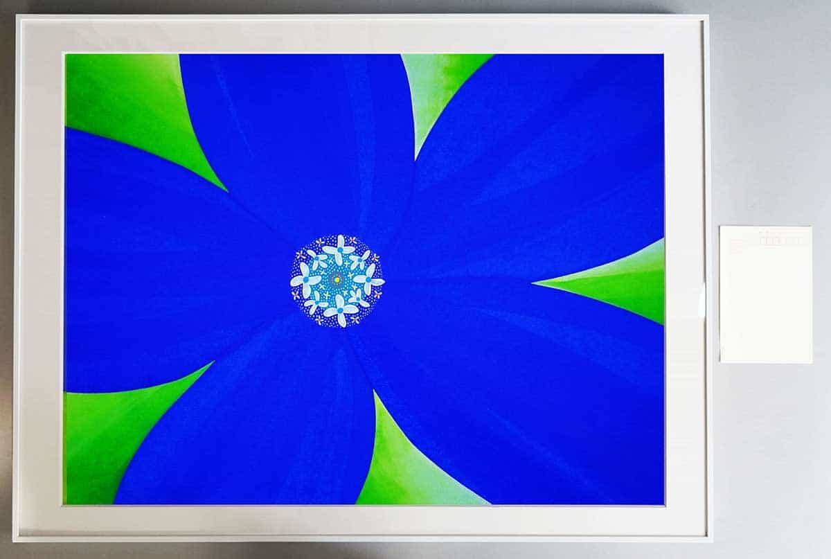RYAL BLUE FLOWER-4