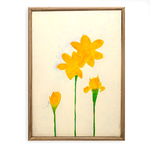 Yellow narcissus flowers No.191