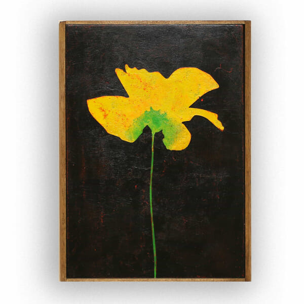 Yellow Poppies solo#2 No.209