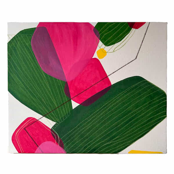 Bougainvillea#001