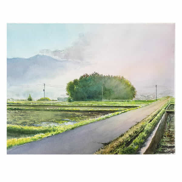 朝日に輝く農道