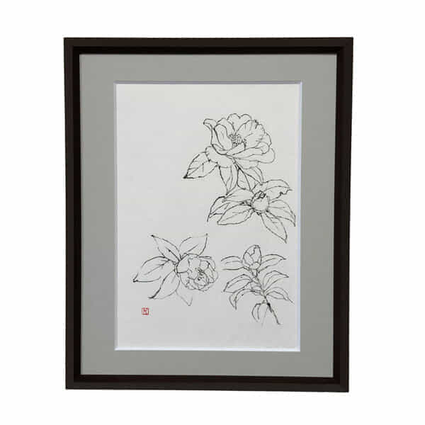 スケッチ｜サザンカ