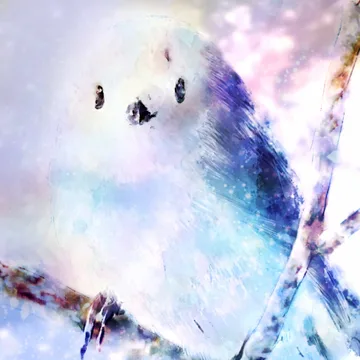 Snow fairy