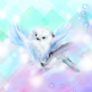 シマちゃん