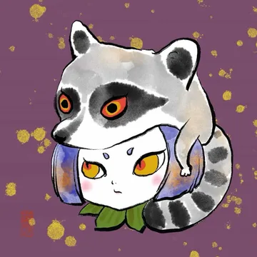 RACCOON