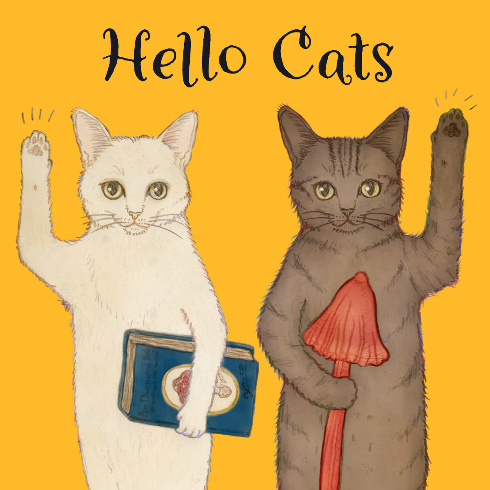 Hello Cats #000