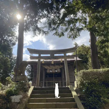 御参り　-Omairi-