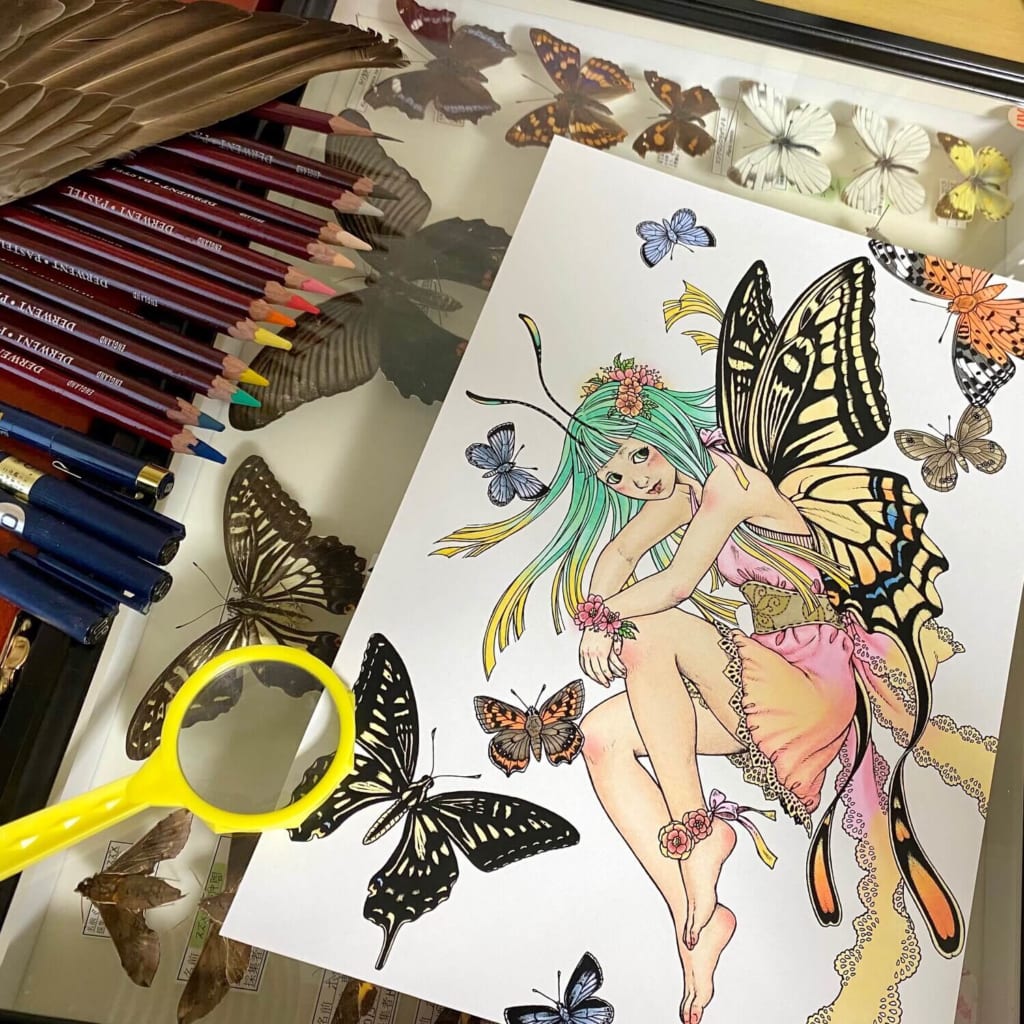 作品と蝶々の標本