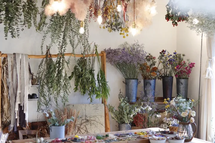 botanical workshop