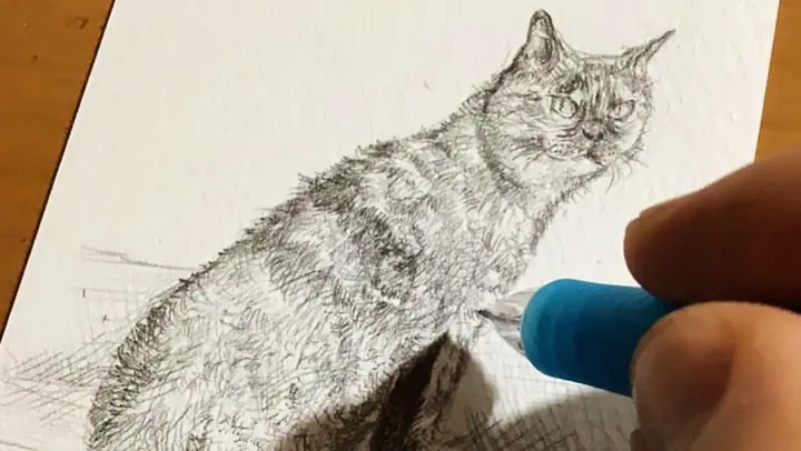 動物を描く基礎講座