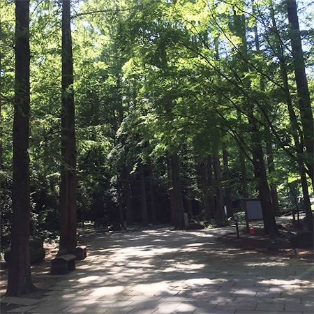 生田緑地内