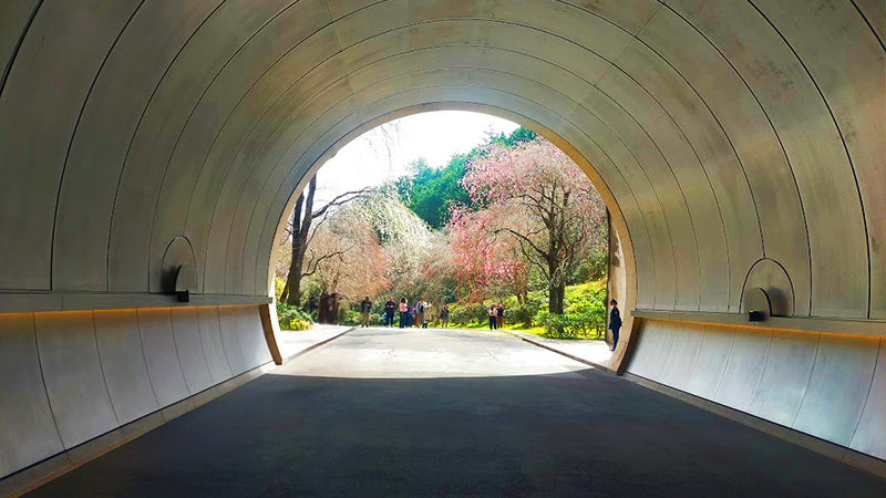 トンネル