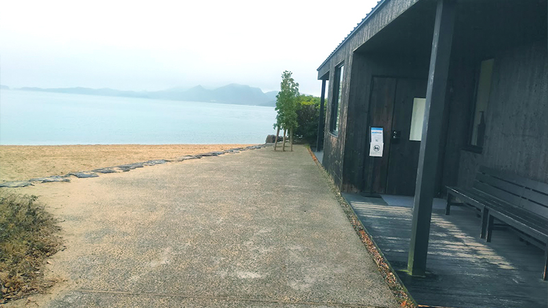 心臓音のアーカイブ