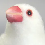 おもにとり